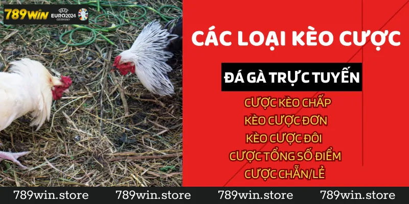 Các loại kèo cược đá gà trực tuyến tại 789Win