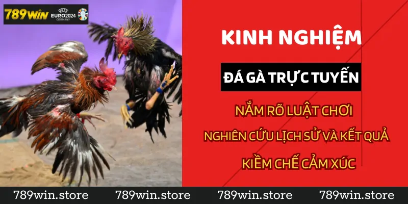 Tham khảo kinh nghiệm chơi đá gà trực tuyến tại 789Win