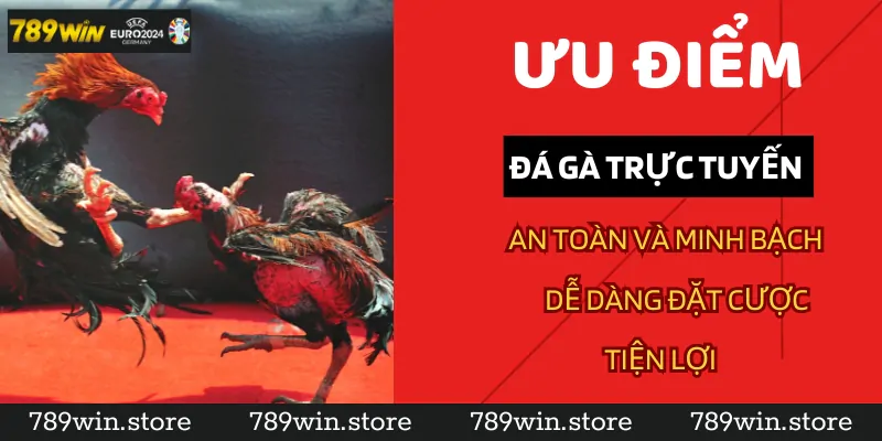 Ưu điểm của đá gà trực tuyến tại 789Win